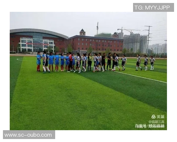 漯河足球场周边景点推荐与活动信息一览